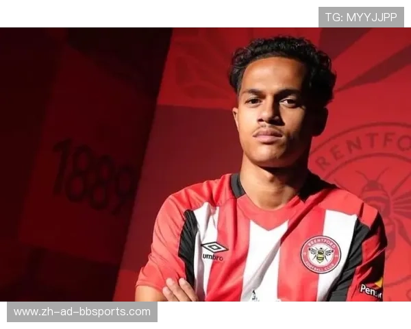 英超球员阿 杨的职业生涯及表现总结 英超球员阿 杨的职业生涯及表现总结